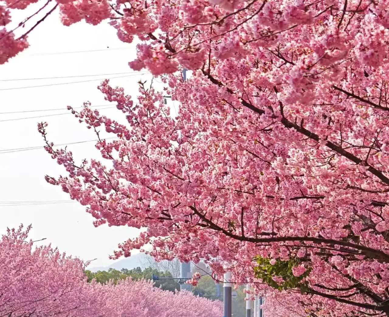 升！升！升！今天，江阴正式进入！